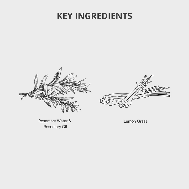 Rosemary Shampoo NZ for Hair & Scalp Health Natural – 200ml