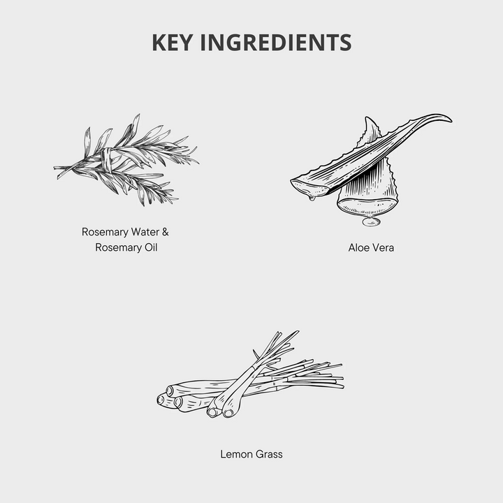 Rosemary HydroSilk Hand & Body Wash – Gentle Nourishing Cleanser - 300ml - NZ Made